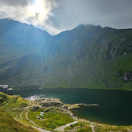 Casa Oaspeti Transfagarasan Leilighet Cîrţişoara Eksteriør bilde