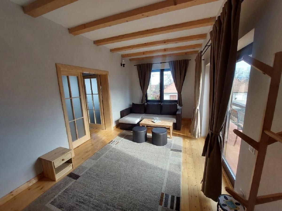 Casa Oaspeti Transfagarasan Leilighet Cîrţişoara Eksteriør bilde