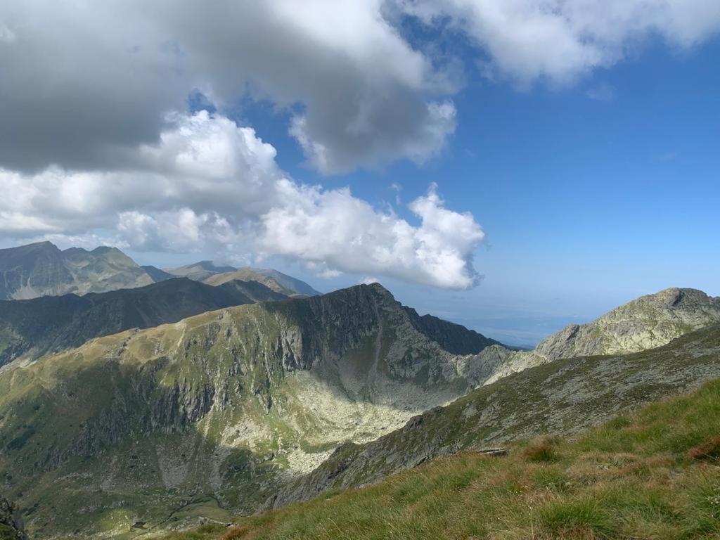 Casa Oaspeti Transfagarasan Leilighet Cîrţişoara Eksteriør bilde