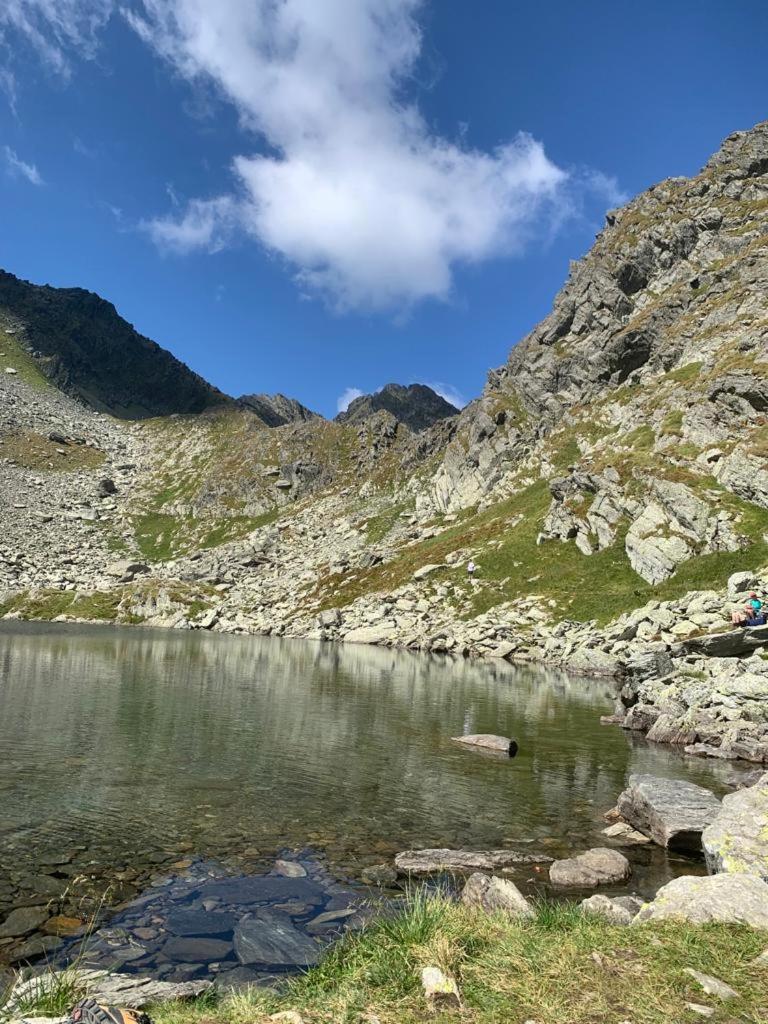 Casa Oaspeti Transfagarasan Leilighet Cîrţişoara Eksteriør bilde