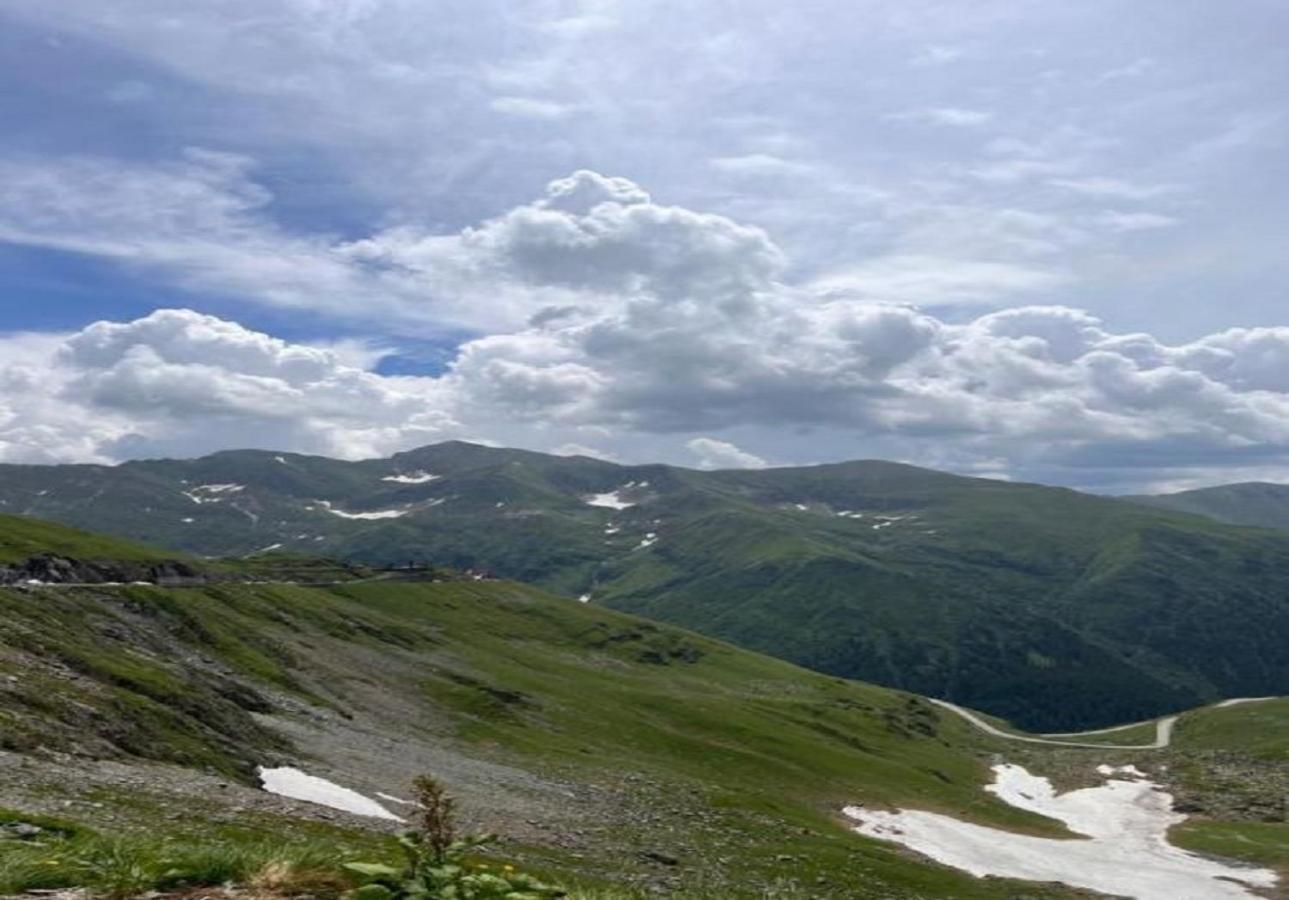 Casa Oaspeti Transfagarasan Leilighet Cîrţişoara Eksteriør bilde