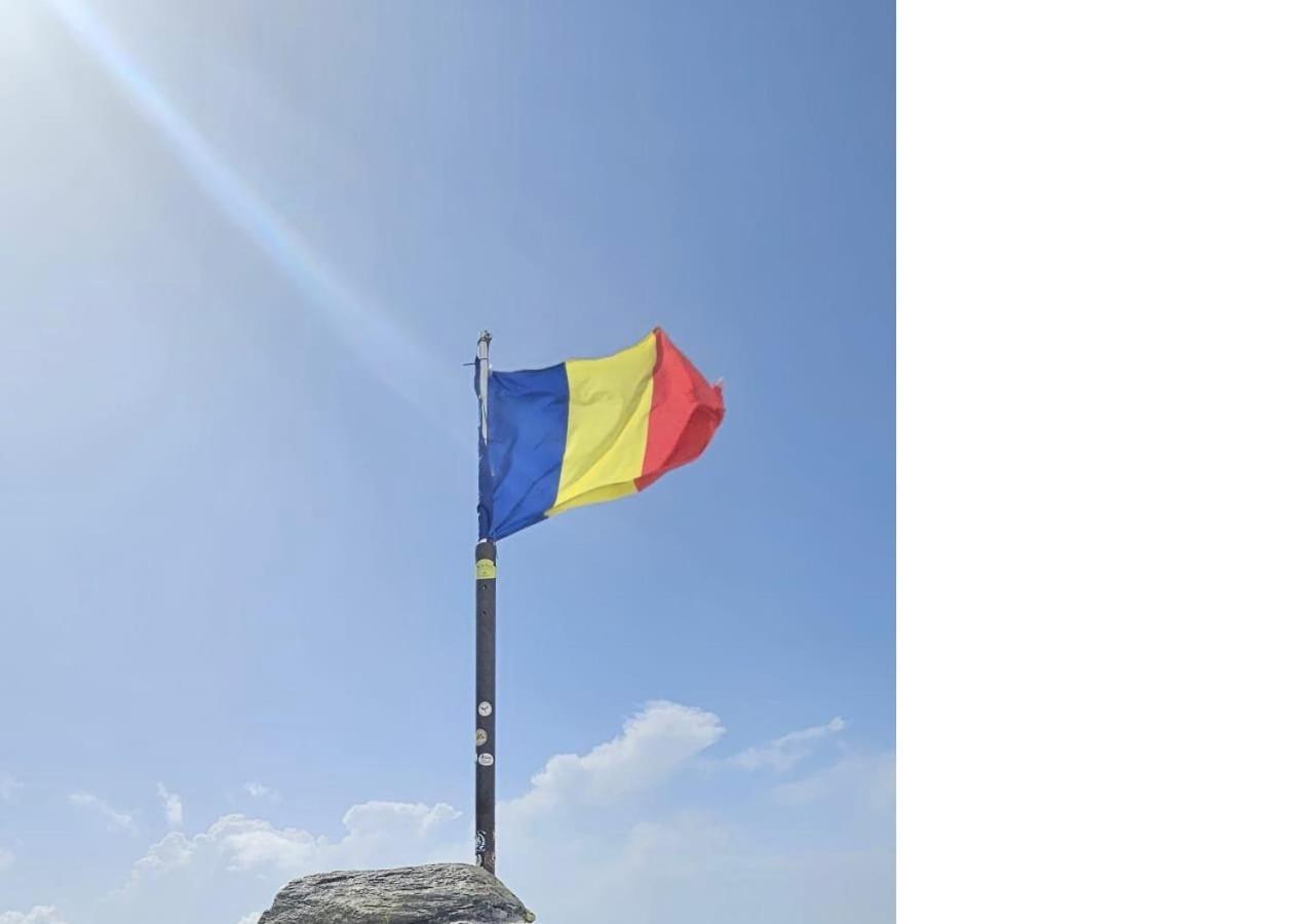 Casa Oaspeti Transfagarasan Leilighet Cîrţişoara Eksteriør bilde